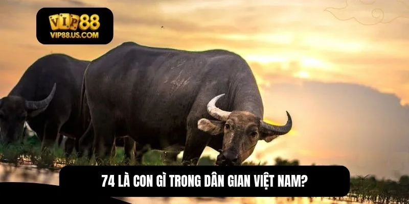 74 là con gì
