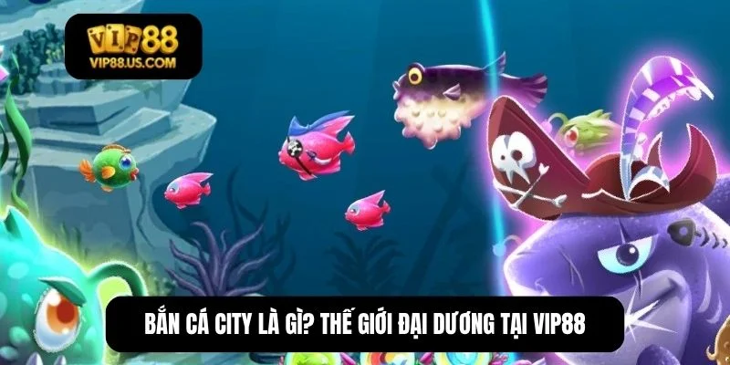 bắn cá city