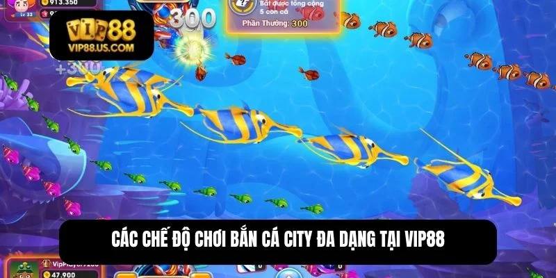 bắn cá city
