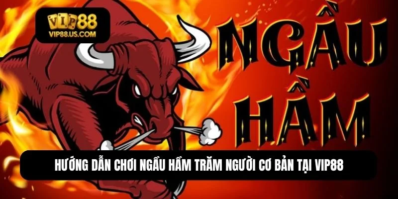 cách chơi Ngầu Hầm trăm người