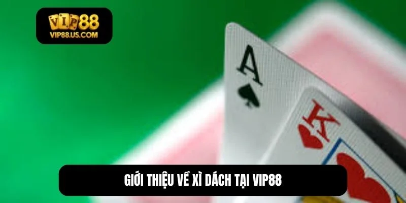 cách chơi xì dách