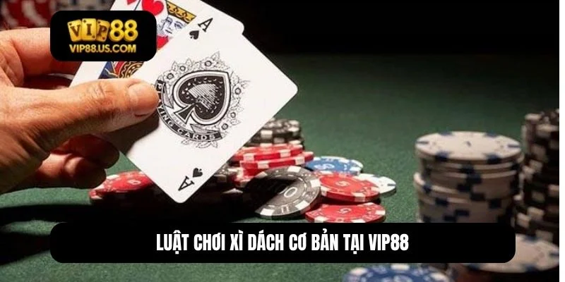 cách chơi xì dách