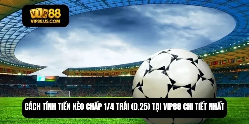 chấp 1/4 trái là sao