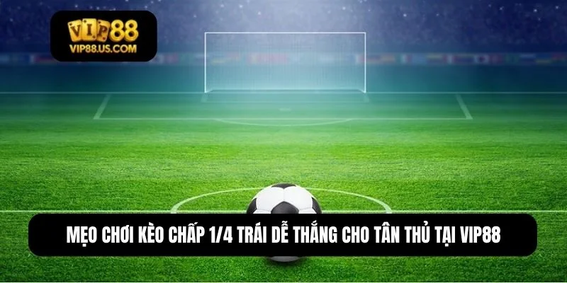 chấp 1/4 trái là sao