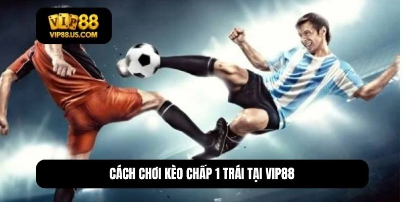 chấp 1 trái là sao