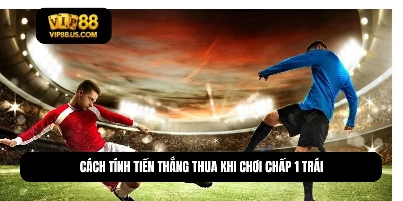 chấp 1 trái là sao